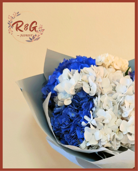 Blue Hydrangea