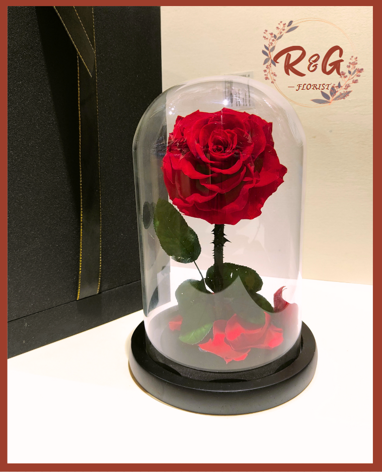 Forever Rose Single Stem