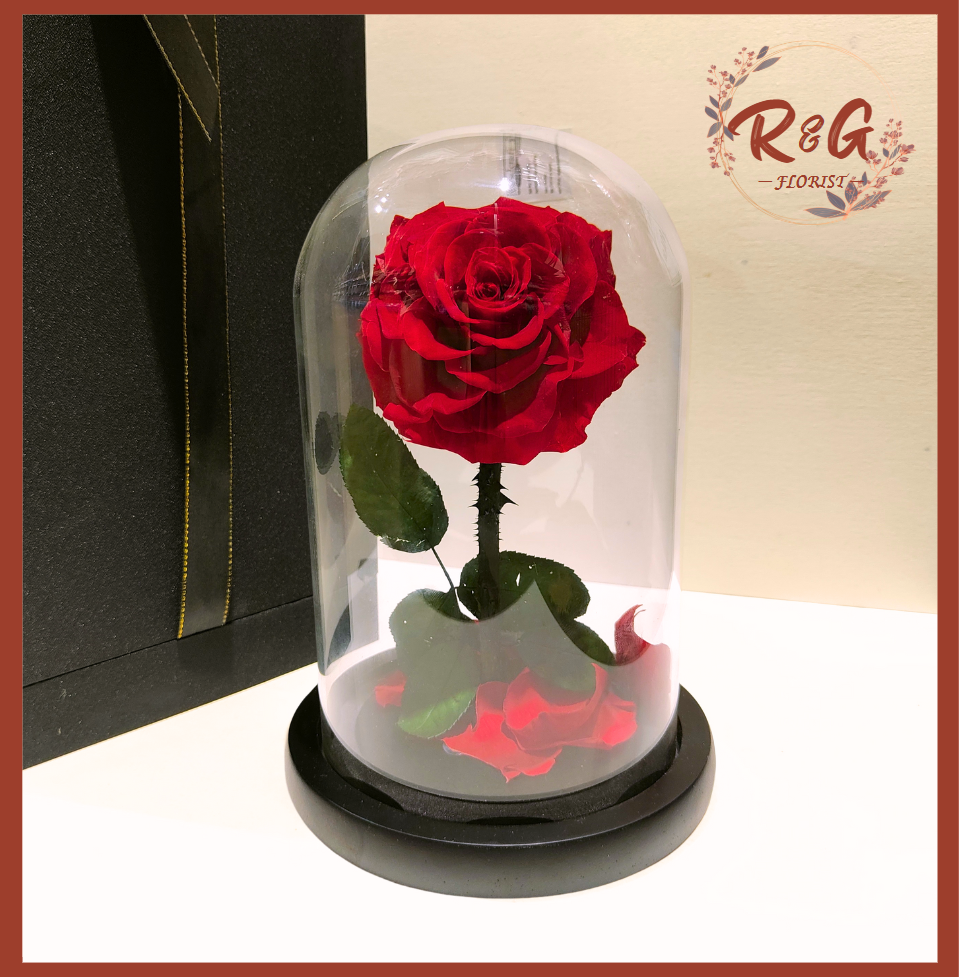 Forever Rose Single Stem